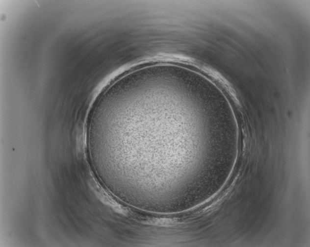 X0000085811280200703231326