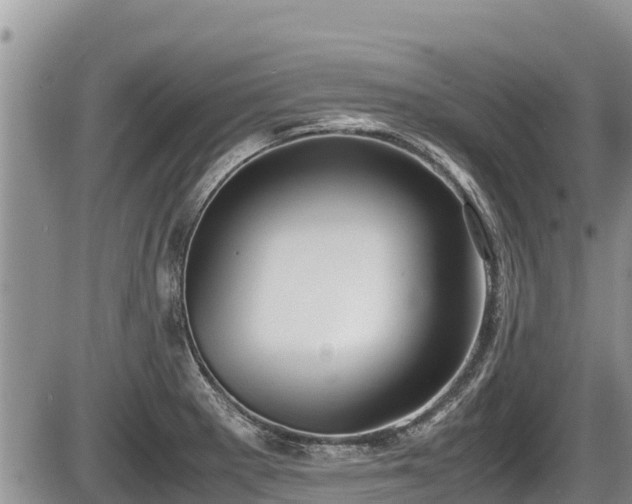 X0000085811281200703231326