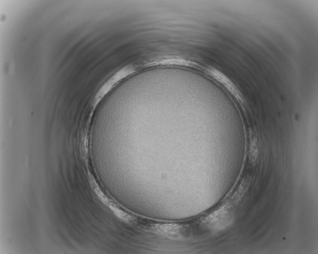 X0000085811282200703231326