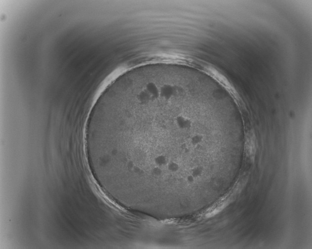 X0000085811283200703231326