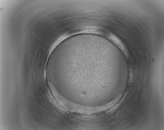 X0000085811284200703231326