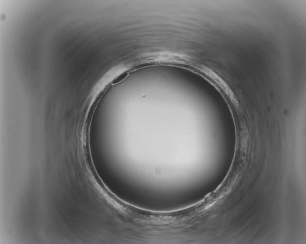 X0000085811285200703231326