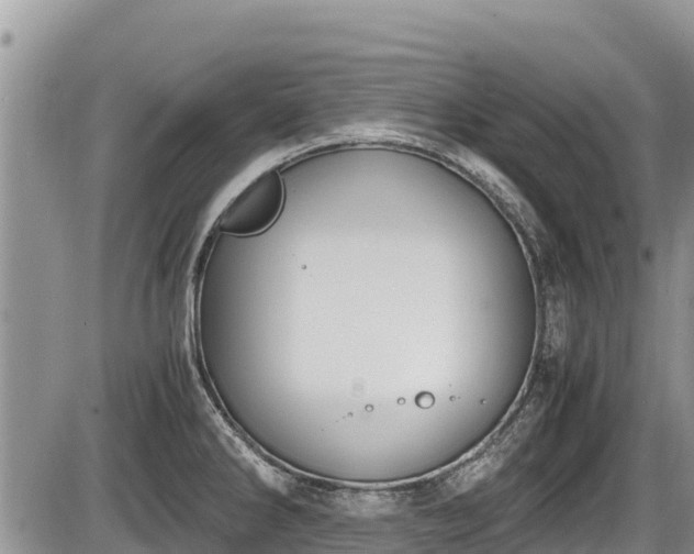 X0000085811286200703231326