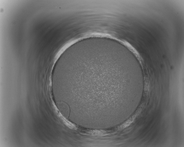 X0000085811287200703231326