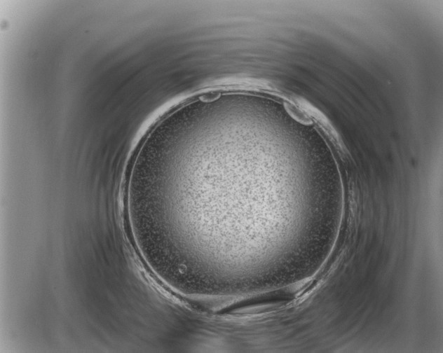 X0000085811288200703231326