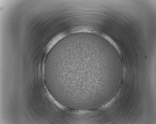 X0000085811290200703231326