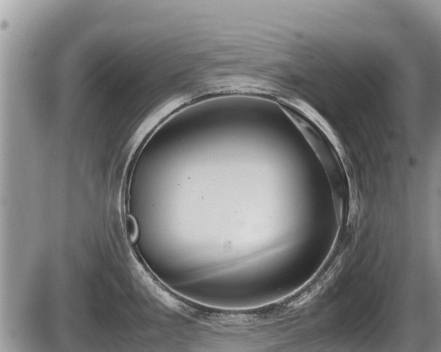 X0000085811293200703231326