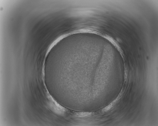 X0000085811294200703231326