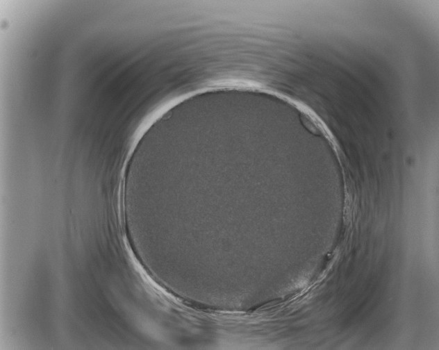 X0000085811295200703231326