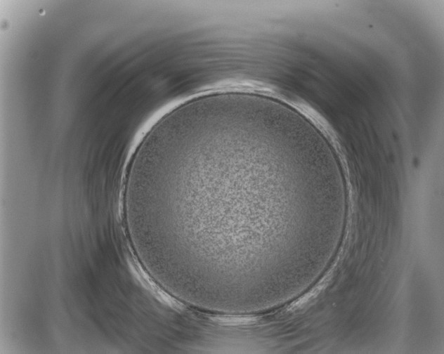 X0000085811296200703231326