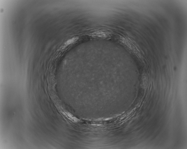 X0000085811297200703231325