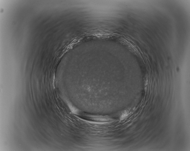 X0000085811298200703231325