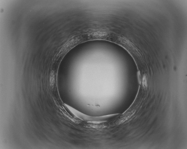 X0000085811299200703231325