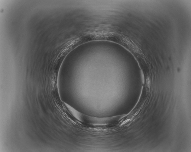 X0000085811300200703231325