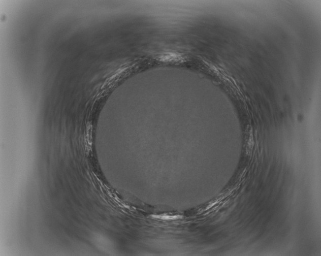 X0000085811301200703231325