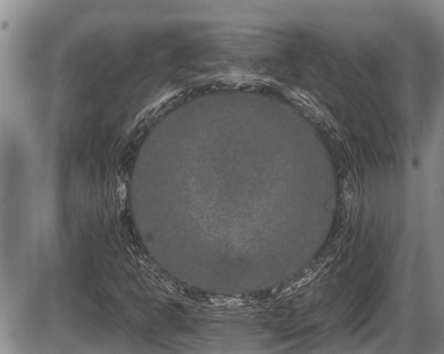 X0000085811302200703231325