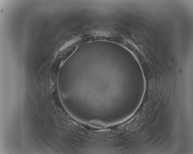 X0000085811303200703231325