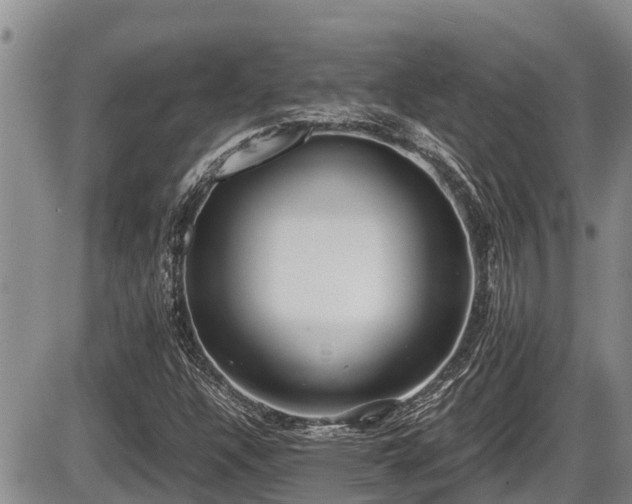 X0000085811304200703231325