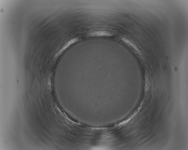 X0000085811305200703231325