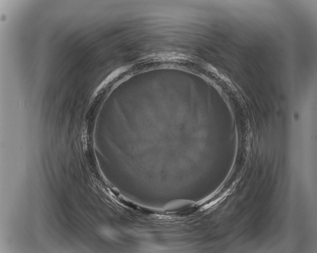 X0000085811306200703231325