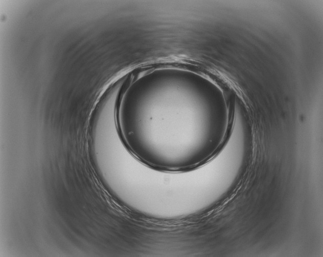 X0000085811308200703231325