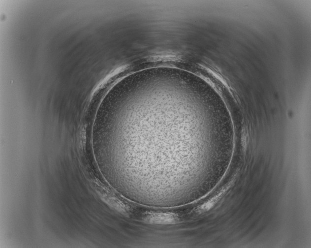 X0000085811309200703231325