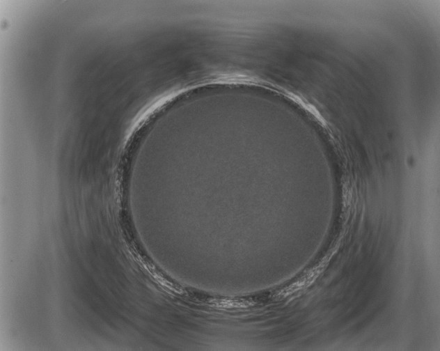 X0000085811311200703231325