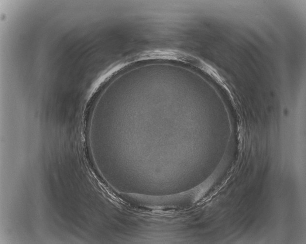 X0000085811312200703231325