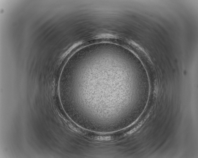 X0000085811313200703231325