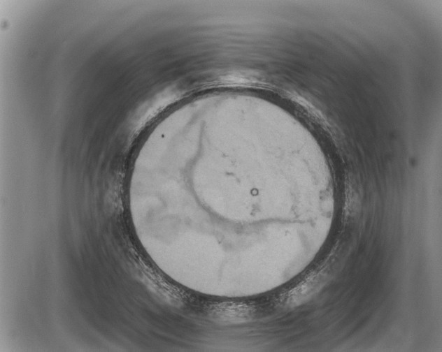 X0000085811314200703231325