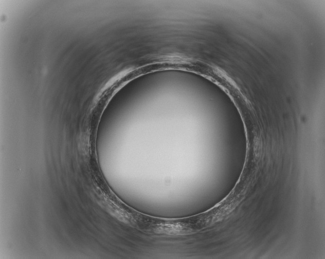 X0000085811315200703231325