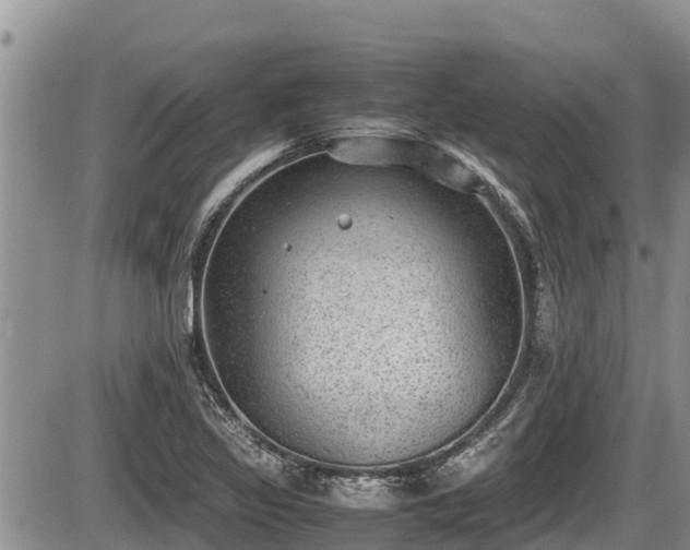 X0000085811317200703231325