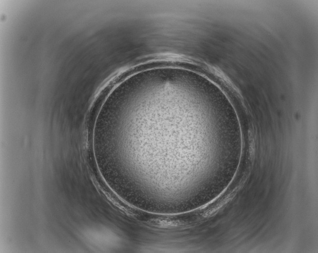 X0000085811318200703231325