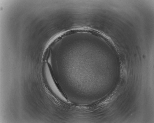 X0000085811319200703231325