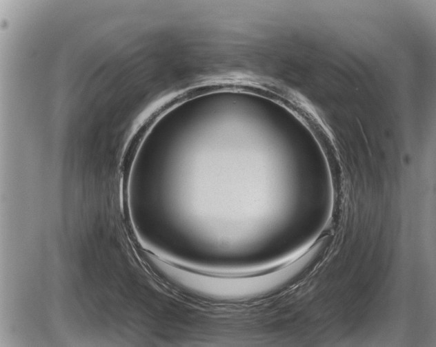 X0000085811320200703231325