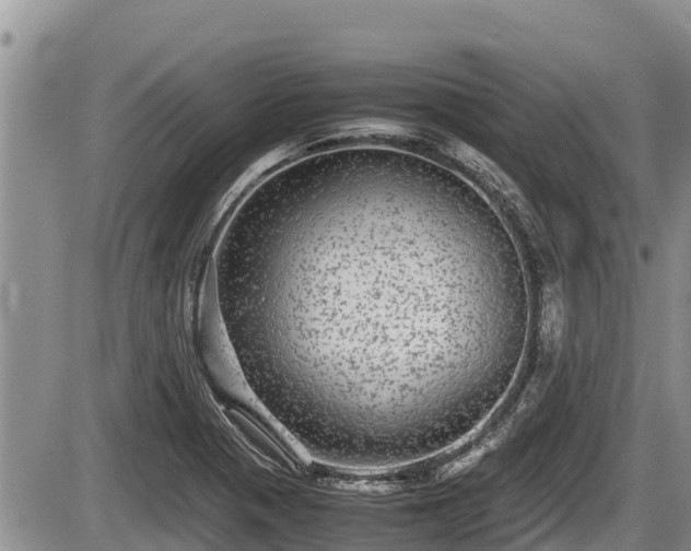 X0000085811321200703231325