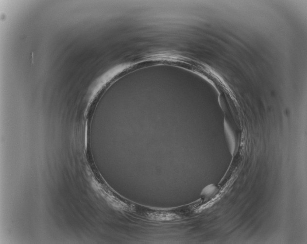 X0000085811323200703231325