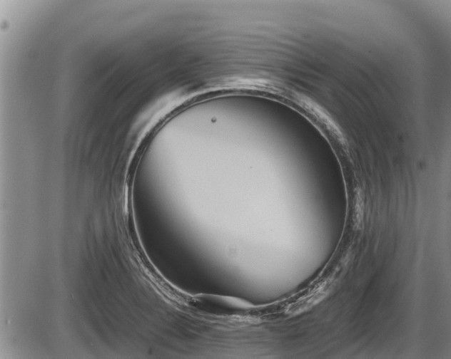 X0000085811324200703231325