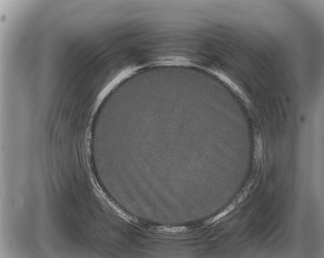 X0000085811325200703231325