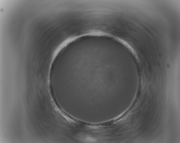 X0000085811327200703231326