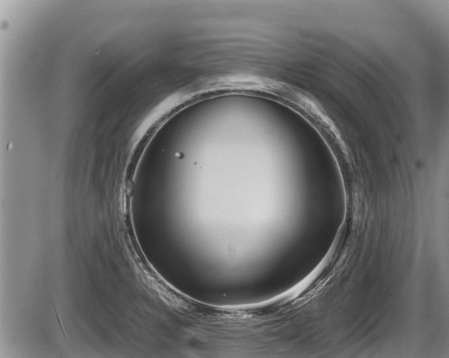 X0000085811328200703231326