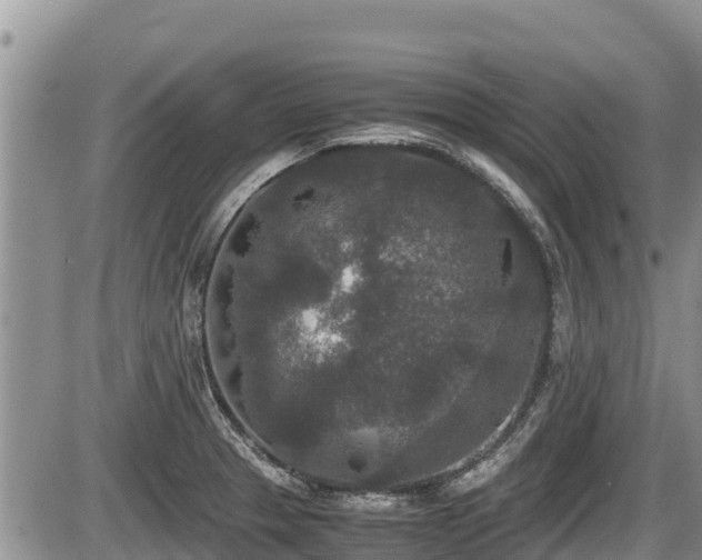 X0000085811329200703231326