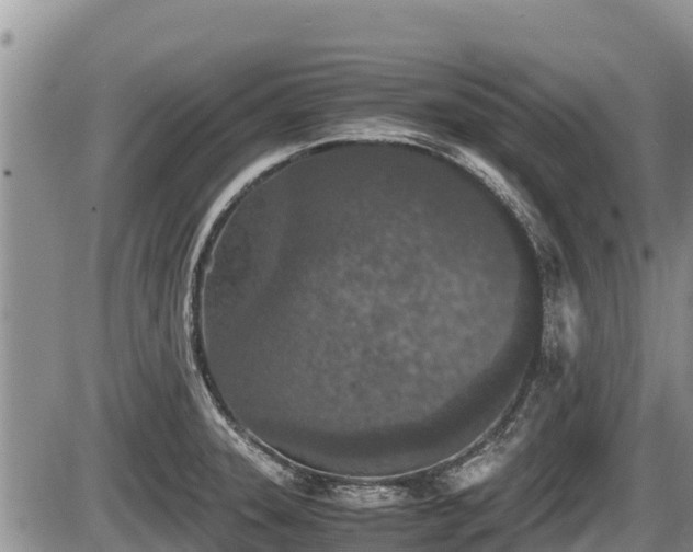 X0000085811331200703231326