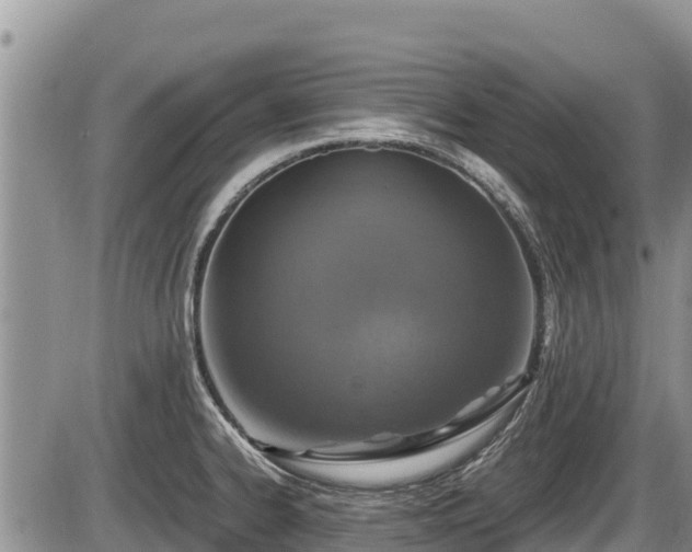 X0000085811334200703231326