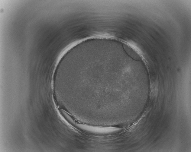 X0000085811335200703231326