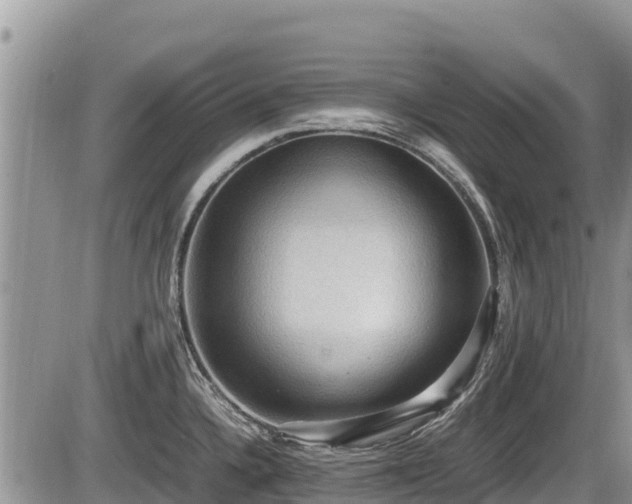 X0000085811336200703231326