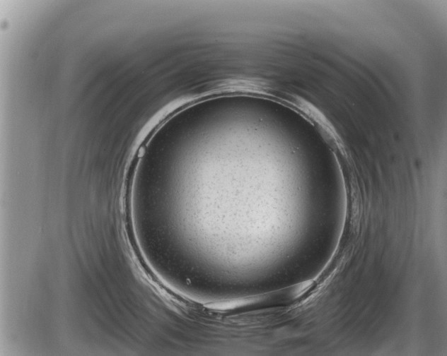 X0000085811339200703231326