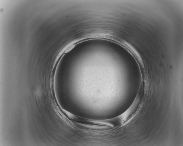 X0000085811340200703231326