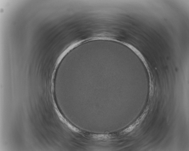 X0000085811341200703231326