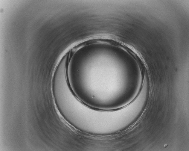 X0000085811342200703231326